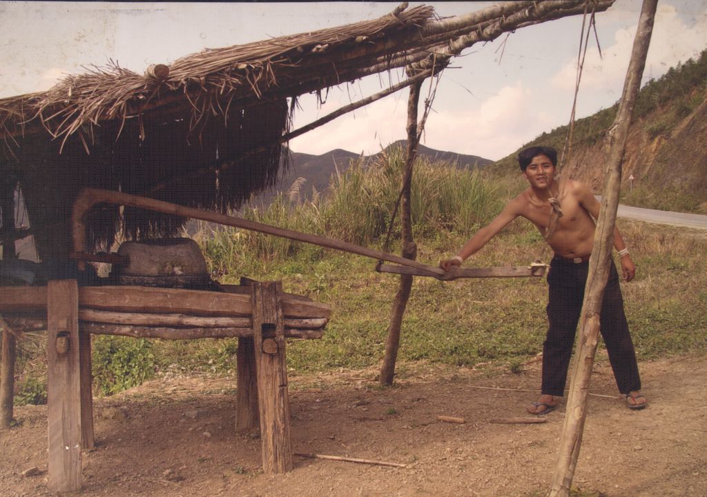 ການໂມ້ເຂົ້າດ້ວຍໂຮງໂມ້ ເມືອງພູຄູນ