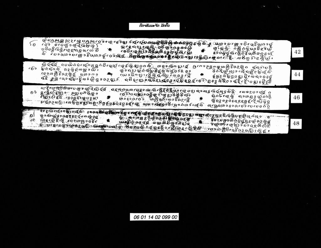 ຕີກາທັມມະຈັກ ມັດຕົ້ນ