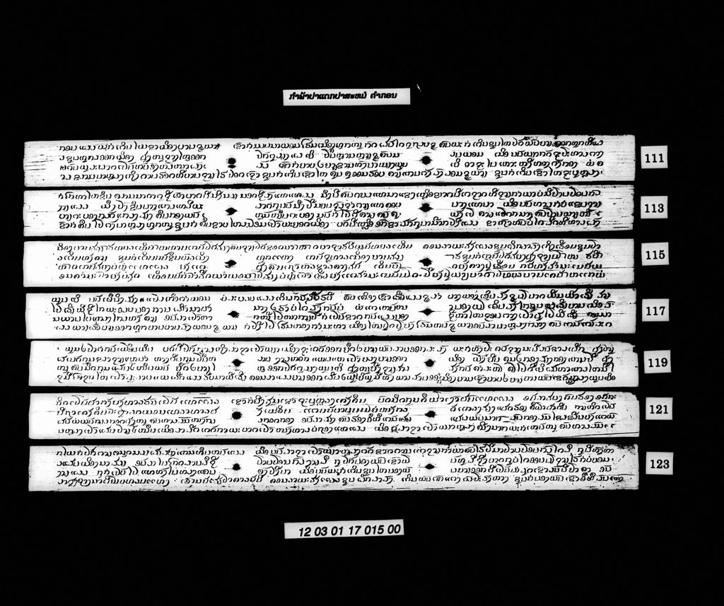 ກຳພ້າປາແດກປາສະໝໍ (ກອນ)