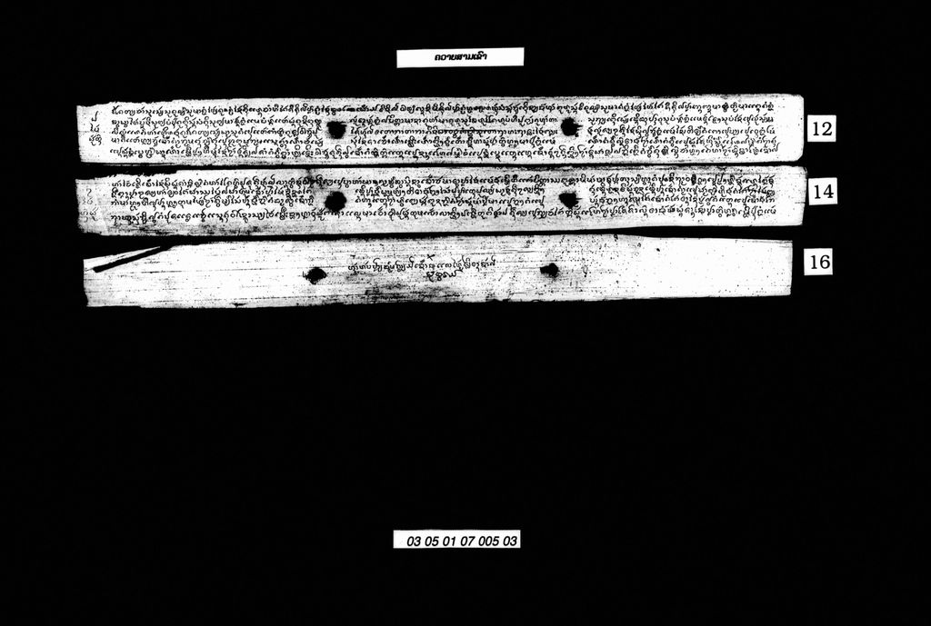 ຄວາຍສາມເຂົາ