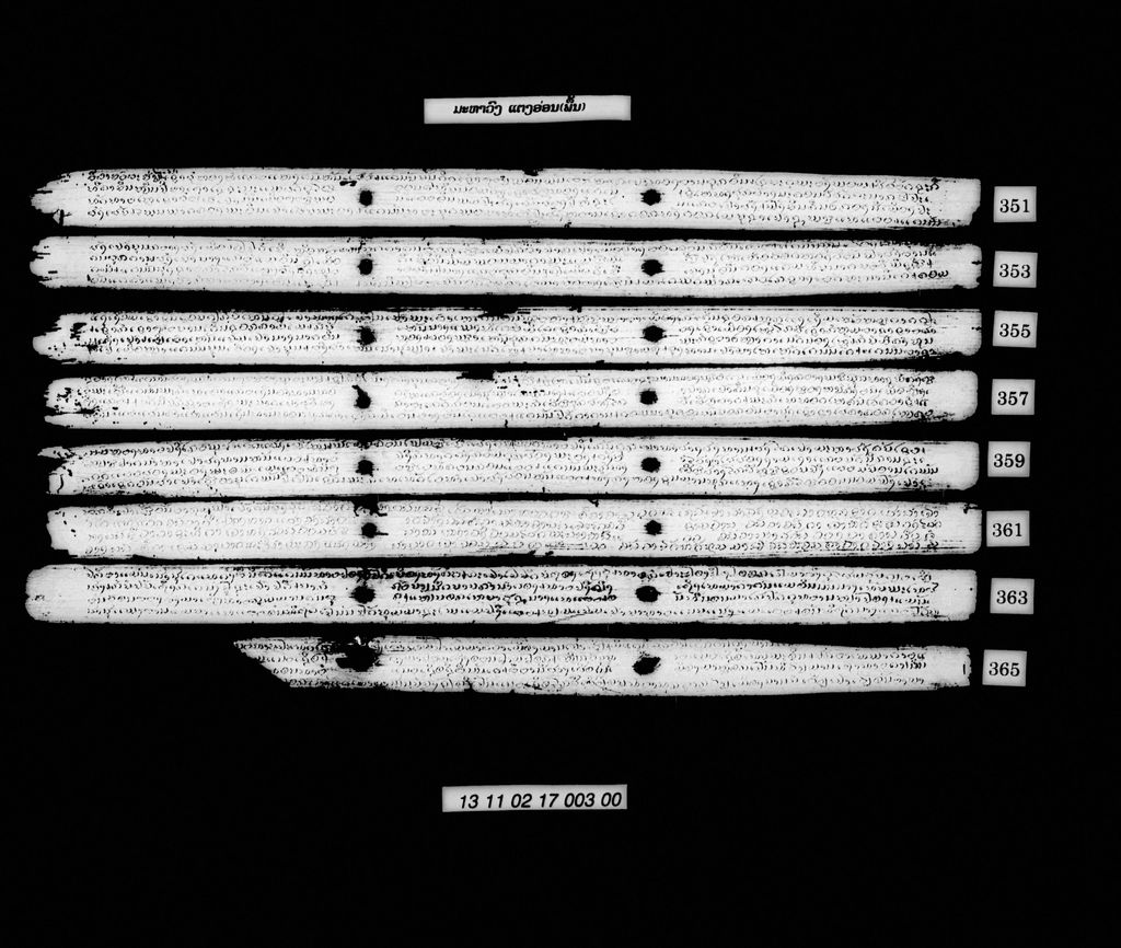 ມະຫາວົງແຕງອ່ອນ (ພຶ້ນ)