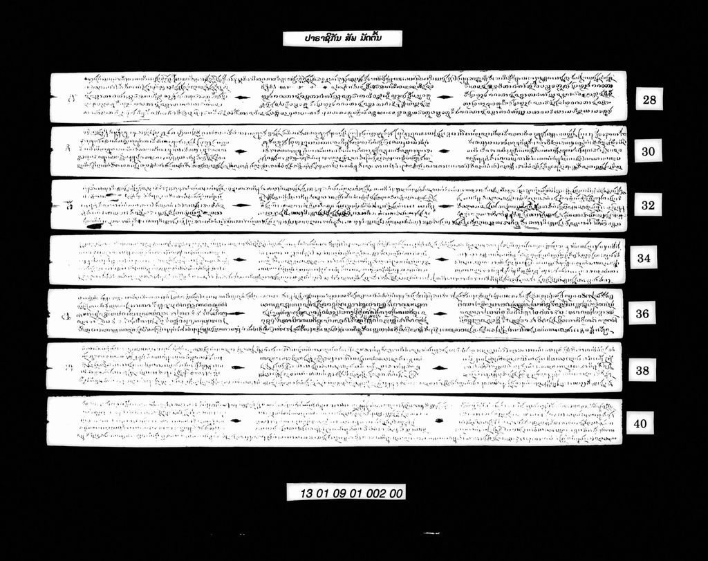 ປາຣາຊິກັນ (ສັພ) ມັດຕົ້ນ