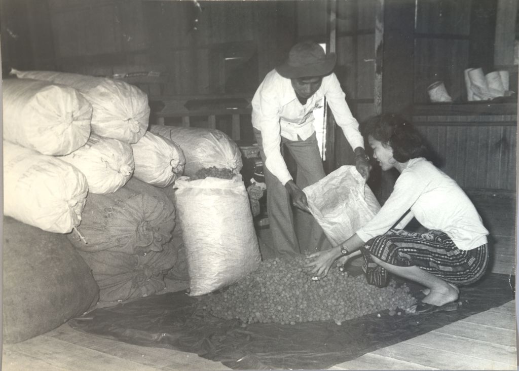 ອຸດ​ສາ​ຫະ​ກຳ​ໝາກ​ແໜ່ງ