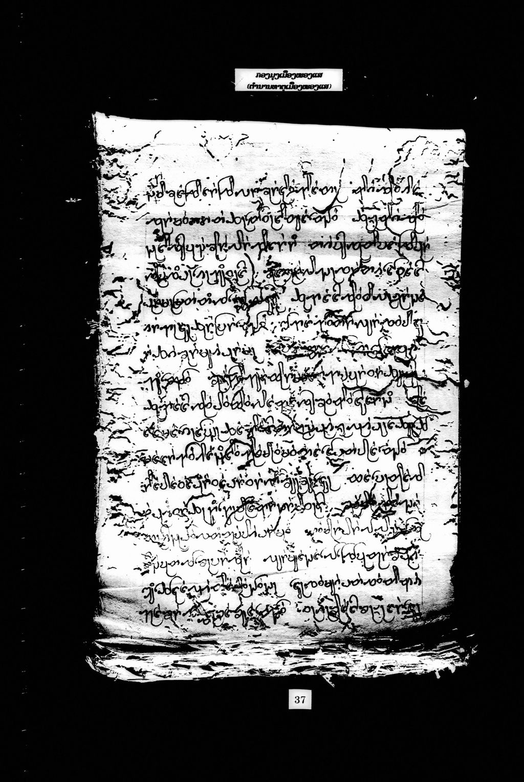 ກອງມຸງເມືອງໜອງແສ (ຕຳນານທາຕໜອງແສ)