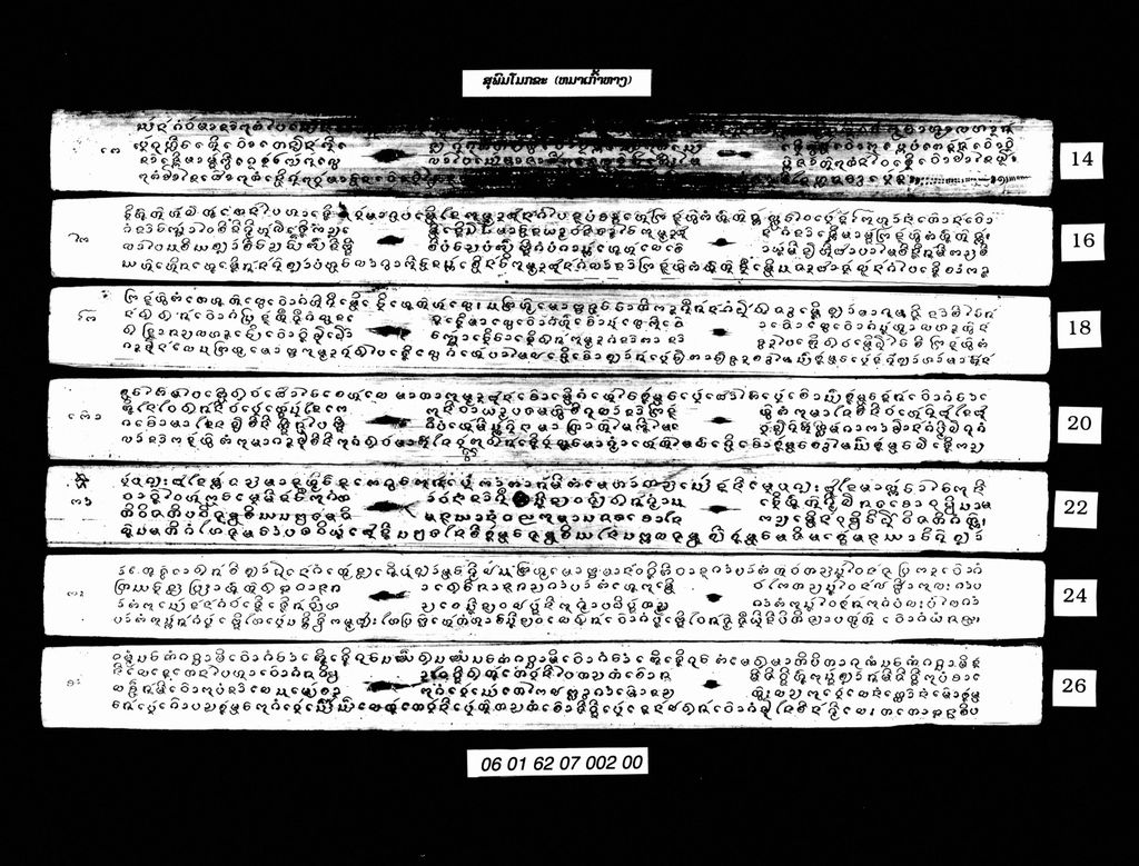 ສຸພົມໂມກຂະ (ໝາເກົ້າຫາງ)