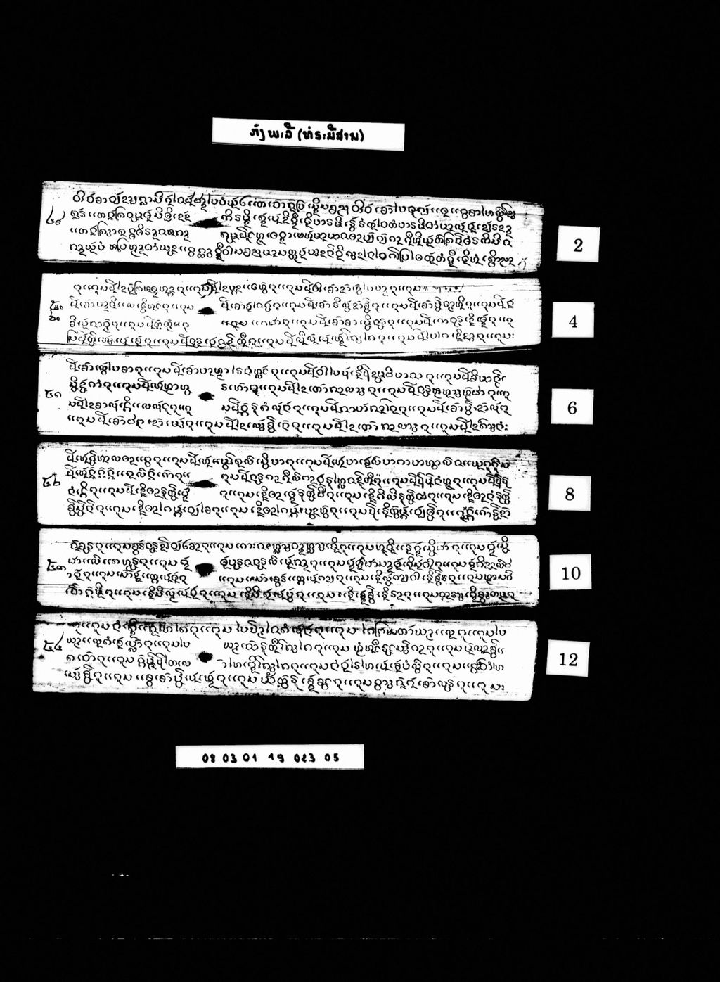 ກົງພະລີ (ທໍຣະນີສານ)