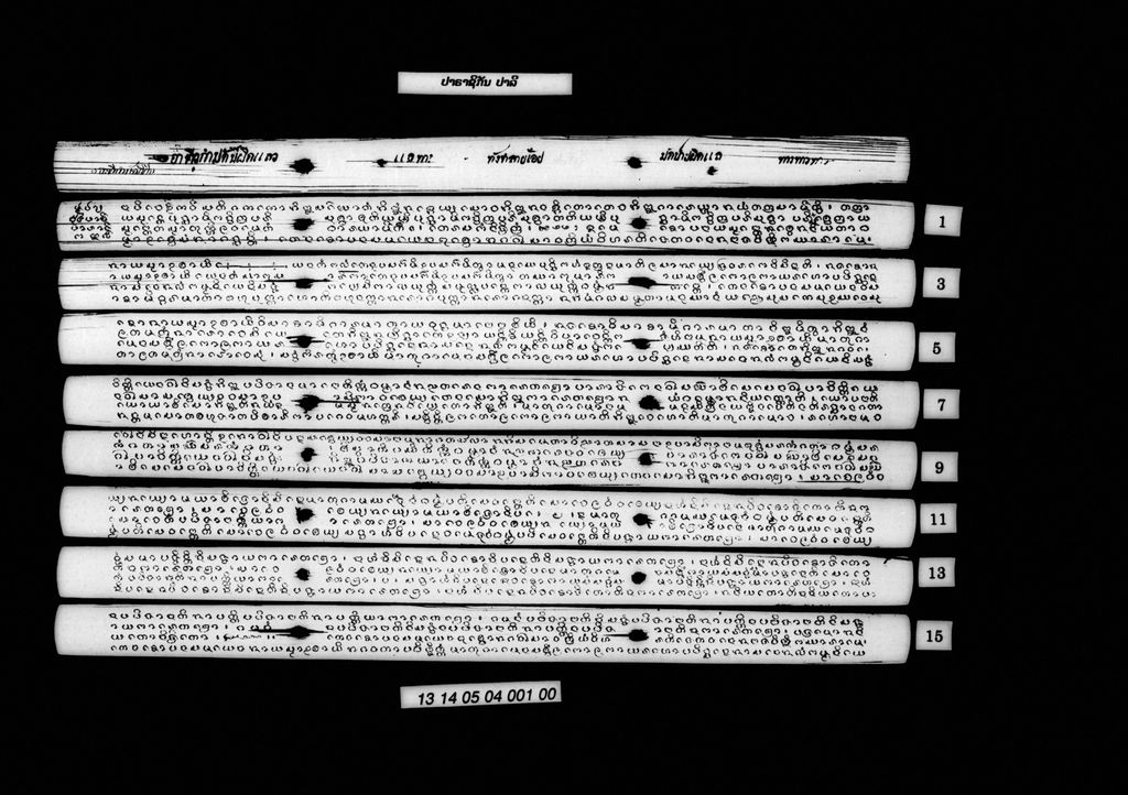 ປາຣາຊິກັນ (ປາລີ)