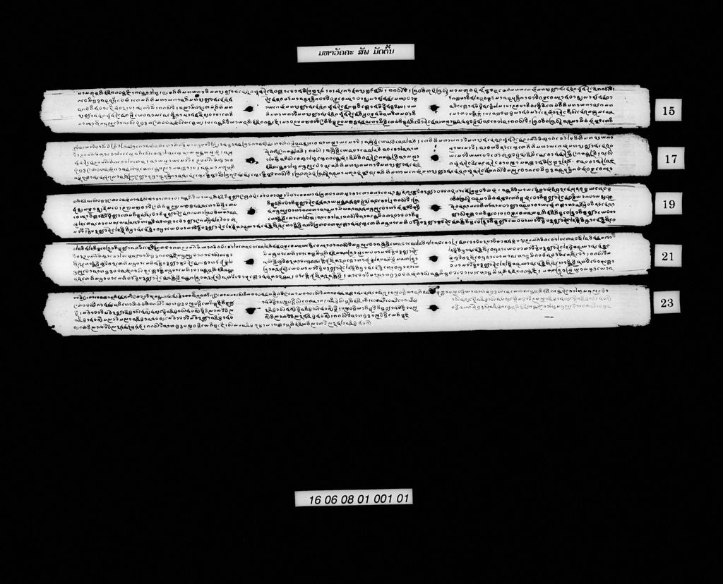 ມຫາວັຄຄະ (ສັພ) ມັດຕົ້ນ