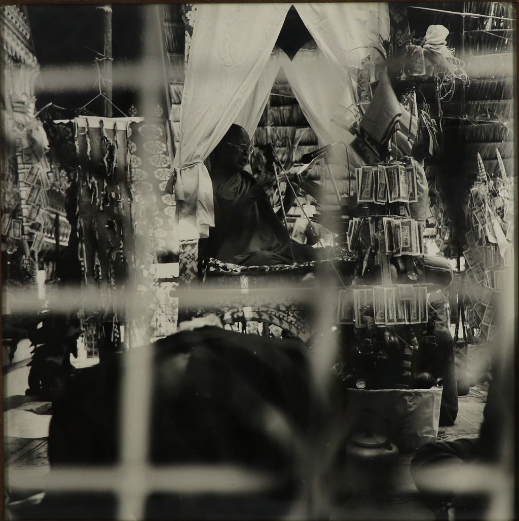 ຮູບພາບຂາວດໍາ ຕົ້ນກະຖິນເງິນ ມິສະທຸນັ່ງເທດ