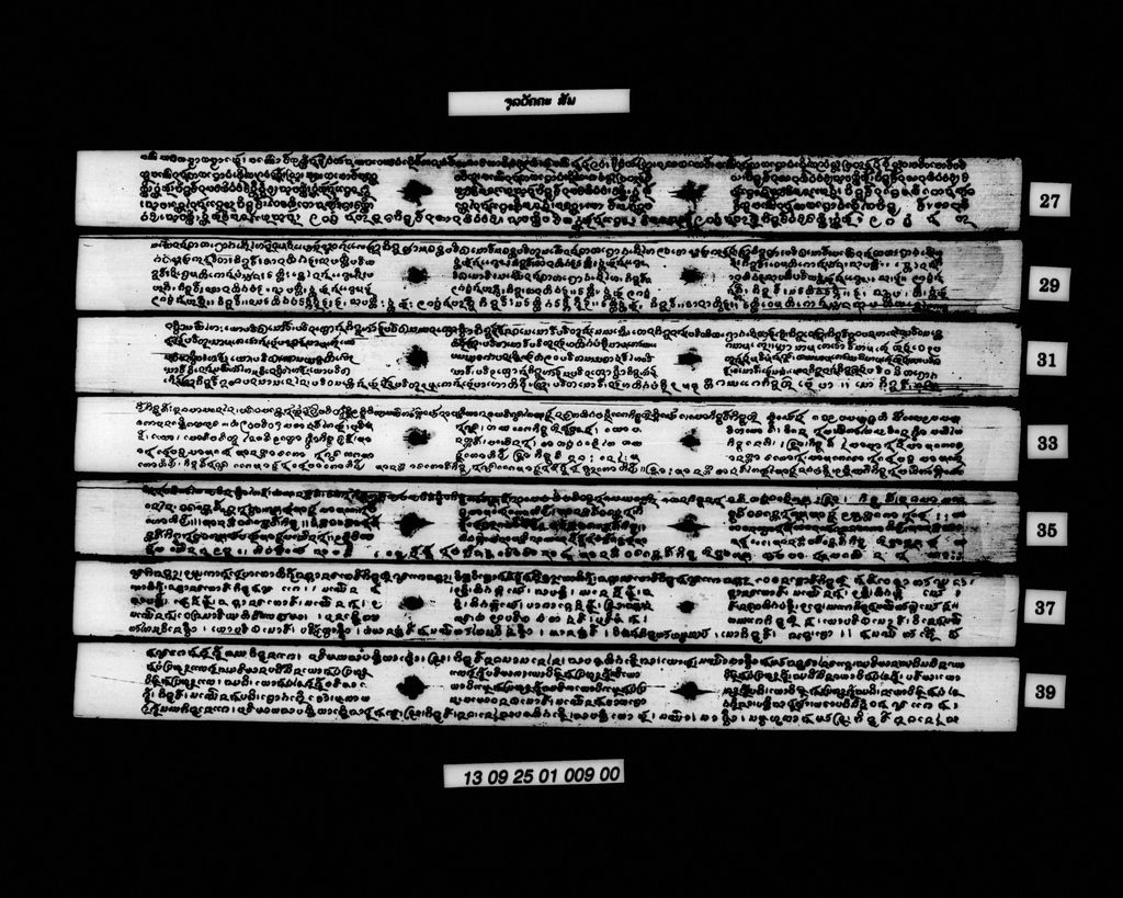 ຈຸລວັຄຄະ (ສັພ)