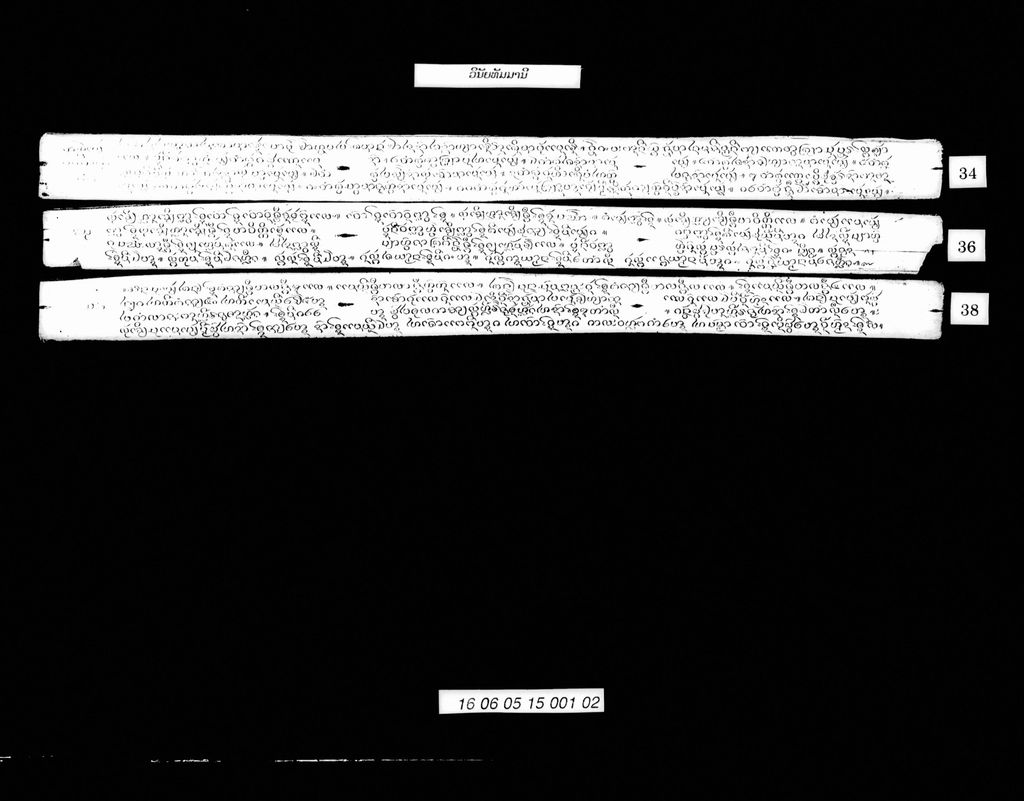 ວິນັຍທັມມານີ