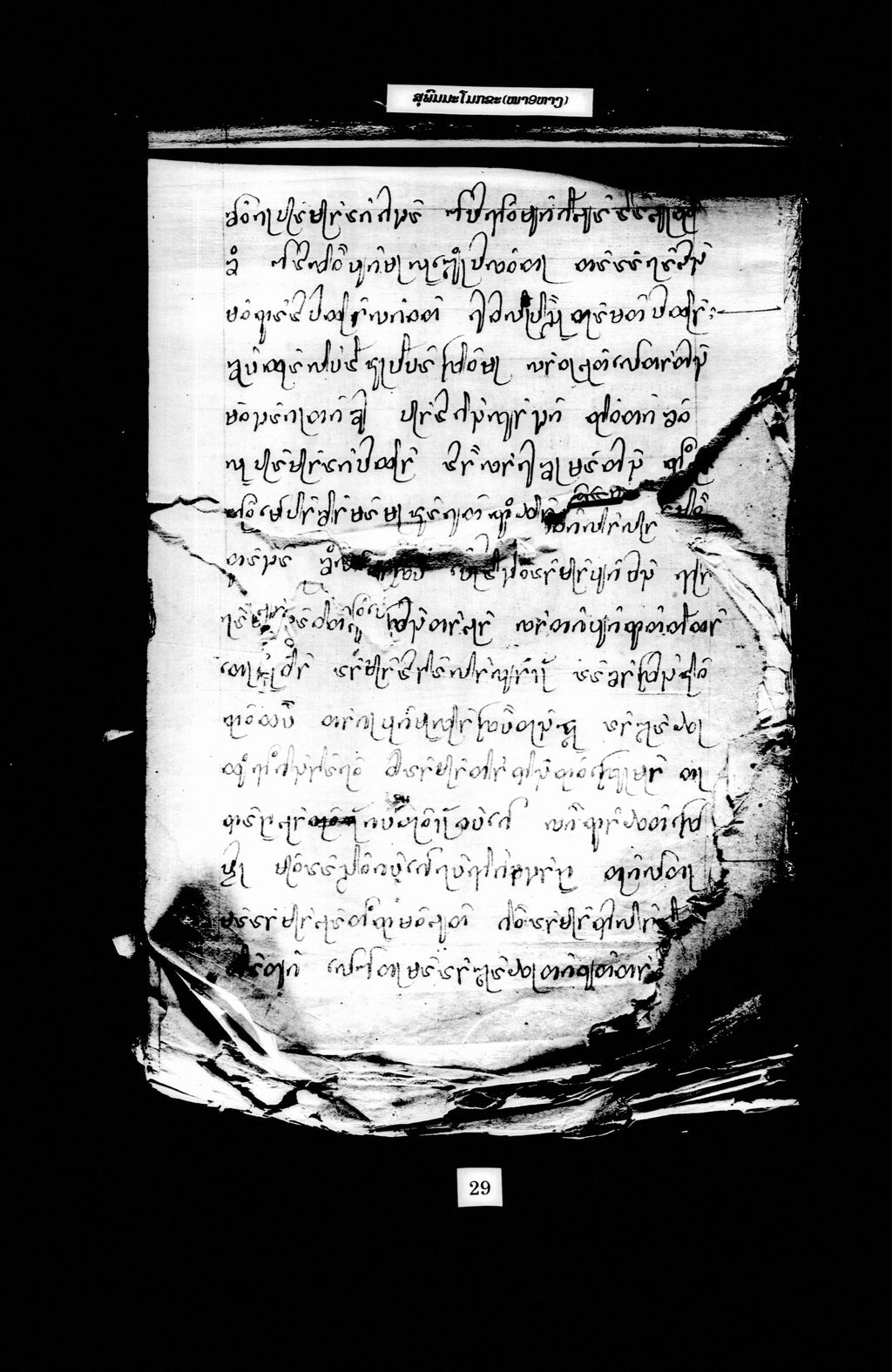 ສຸພົມມະໂມກຂະ (ໝາ9ຫາງ)