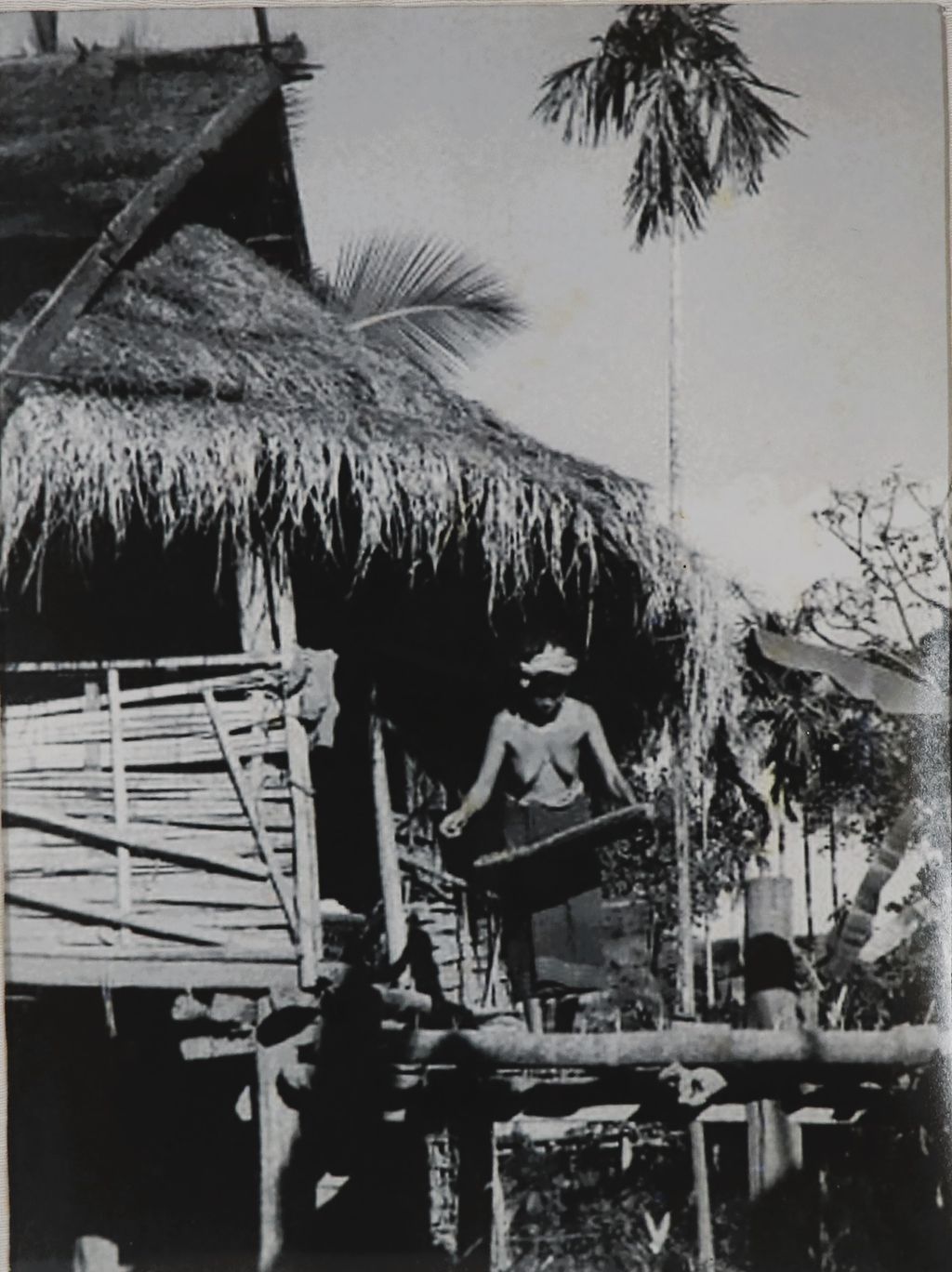 ຮູບພາບຂາວດໍາ ແມ່ຍິງລາວກໍາລັງຟັດເຂົ້າ ປີ 1949