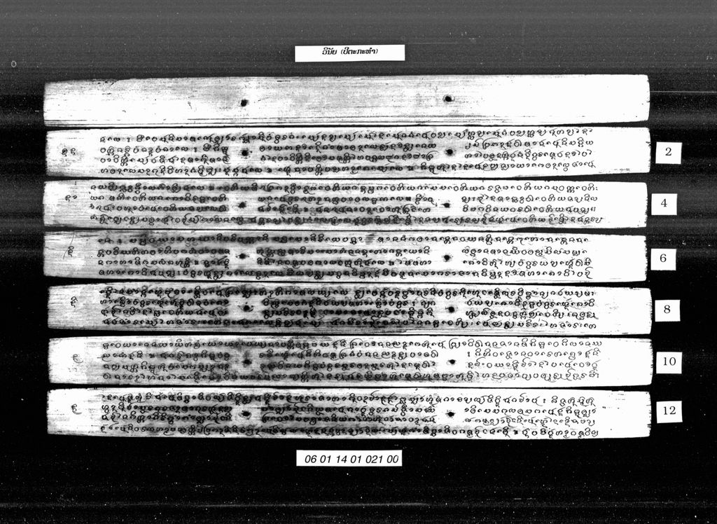 ວິນັຍ (ປິຕກະທັມ)