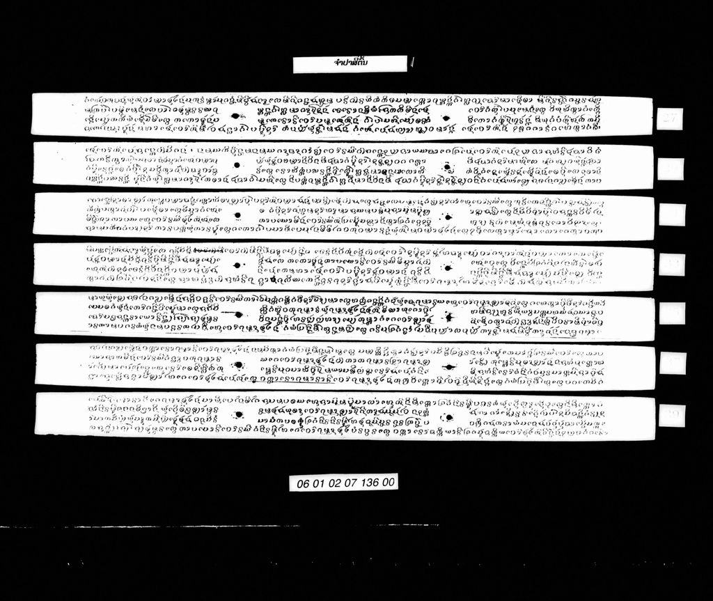 ຈຳປາສີ່ຕົ້ນ ມັດຕົ້ນ