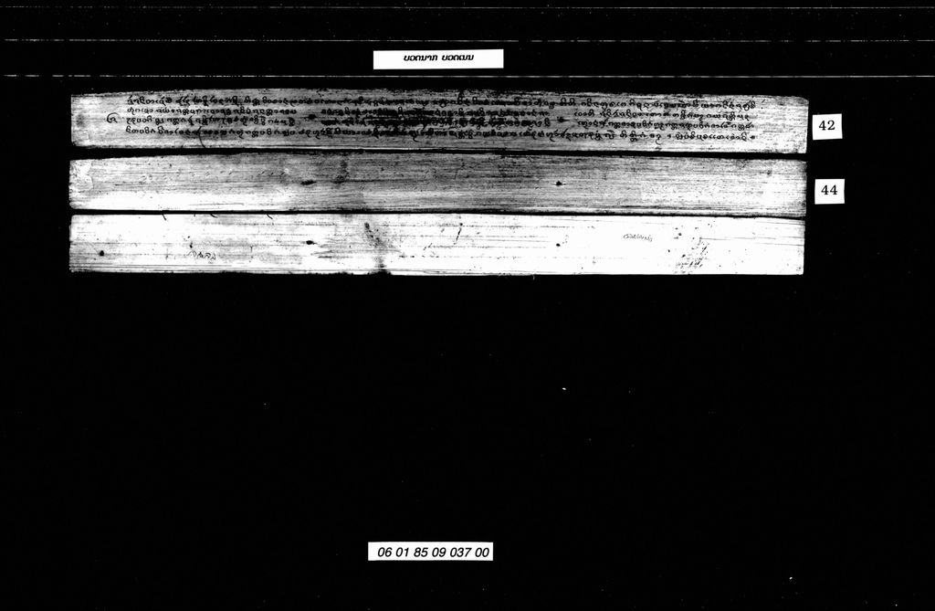 ບວດນາກ ບວດເນສ