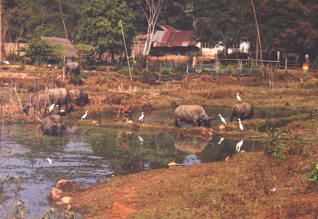 ທີວ​ທັດ​ທຳ​ມະ​ຊາດ ແຂວງ​ຈຳ​ປ​າ​ສັກ