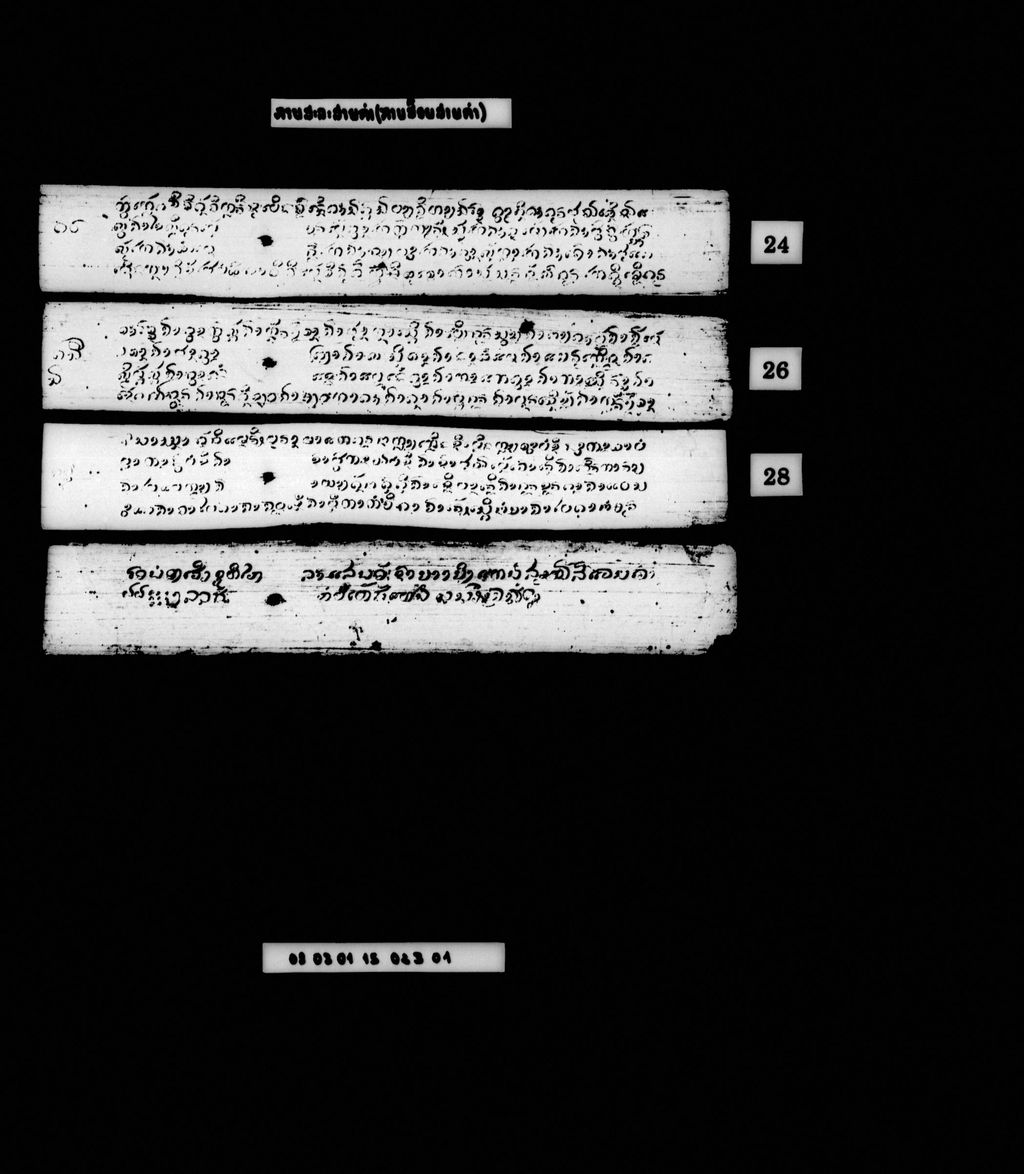 ກາບສະລະສາຍຄຳ (ກາບສ້ອຍສາຍຄຳ)