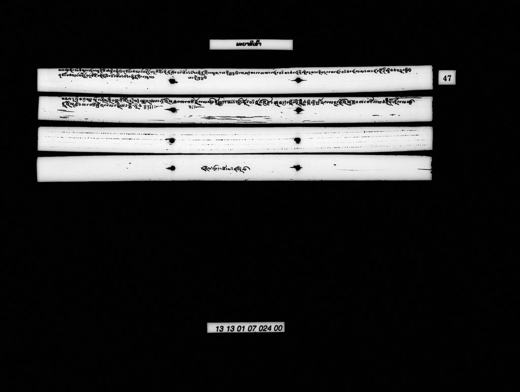 ພະຍາສີເສົ້າ