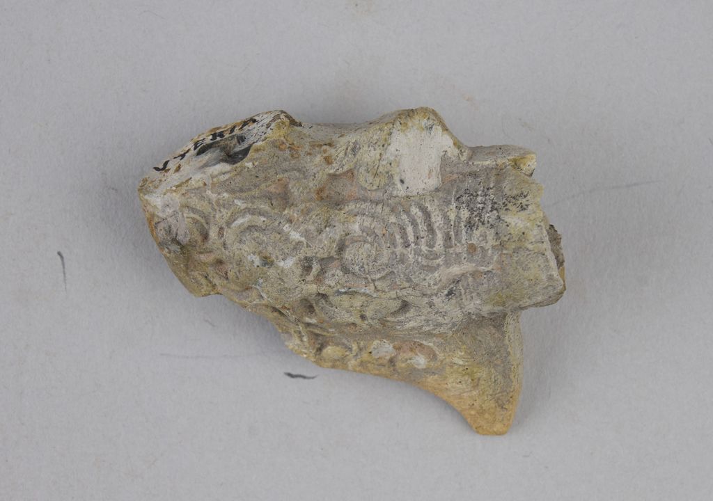 ຊີ້ນສ່ວນຄໍກອກຢາສູບ