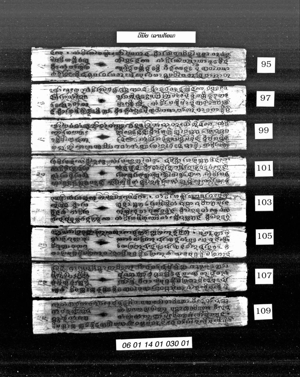 ວິນັຍ (ລານກ້ອມ)