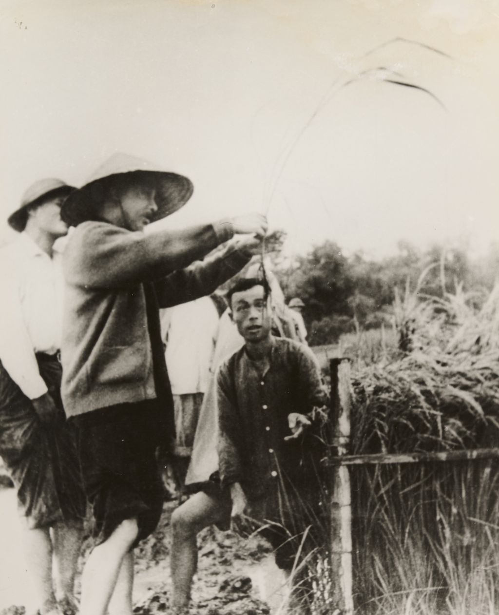 ຟານ​ໂບ້ຍ​ເຈົາ​ລົງ​ຢ້ຽມ​ຢາມ​ນາ​ເຂົ້າ