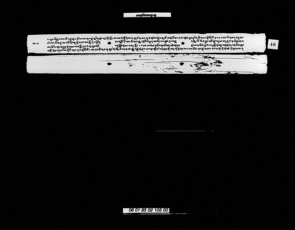 ມະທຸຮັສສະຊຸມພູ