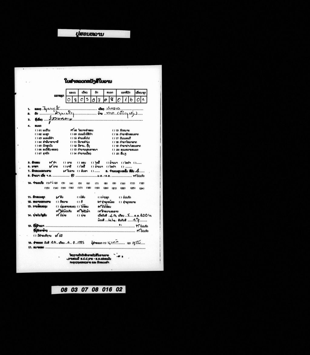 ປູ່ສອນຫລານ