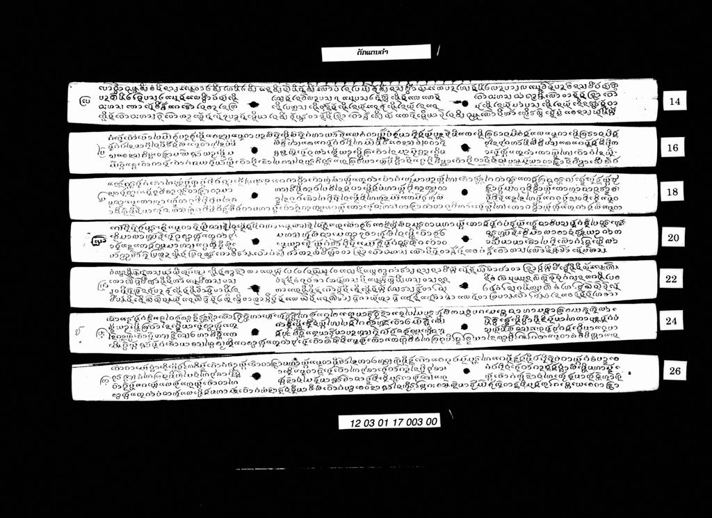 ຕັກແຕນຄຳ