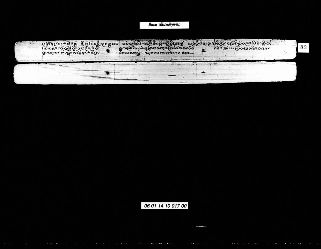 ປິຕກະ (ປິຕກະທັງສາມ)