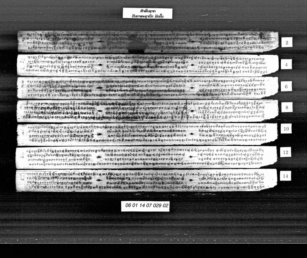 ຫ້າສິບຊາຕ (ປັນຍາສະຊາດົກ) ມັດຕົ້ນ