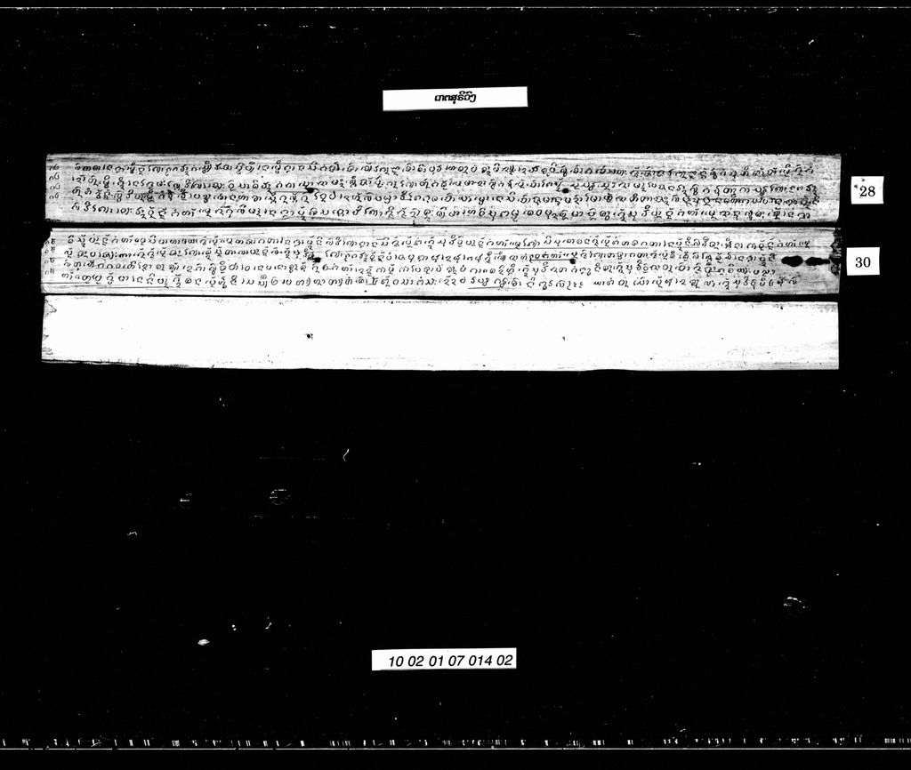 ເກັດສຸລິວົງ