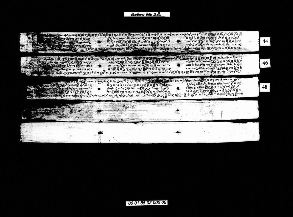 ທິຄະນິກາຍ ນິສັຍ(ມັດຕົ້ນ)