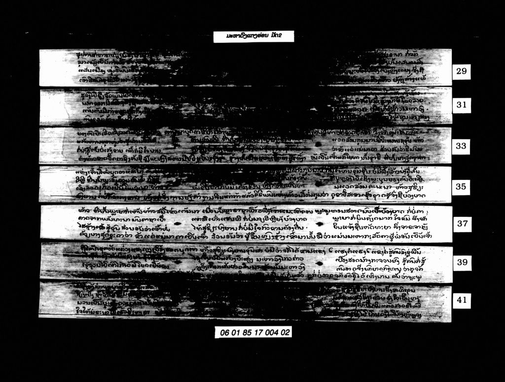 ມະຫາວົງແຕງອ່ອນ ( ມັດສອງ )