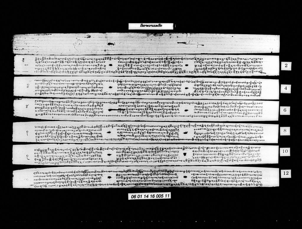 ວິເຄາະນາມມະກິຕ