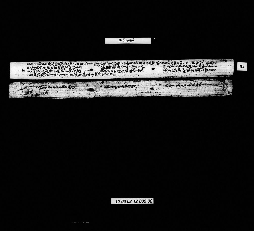 ປະຖົມມູລມູລີ