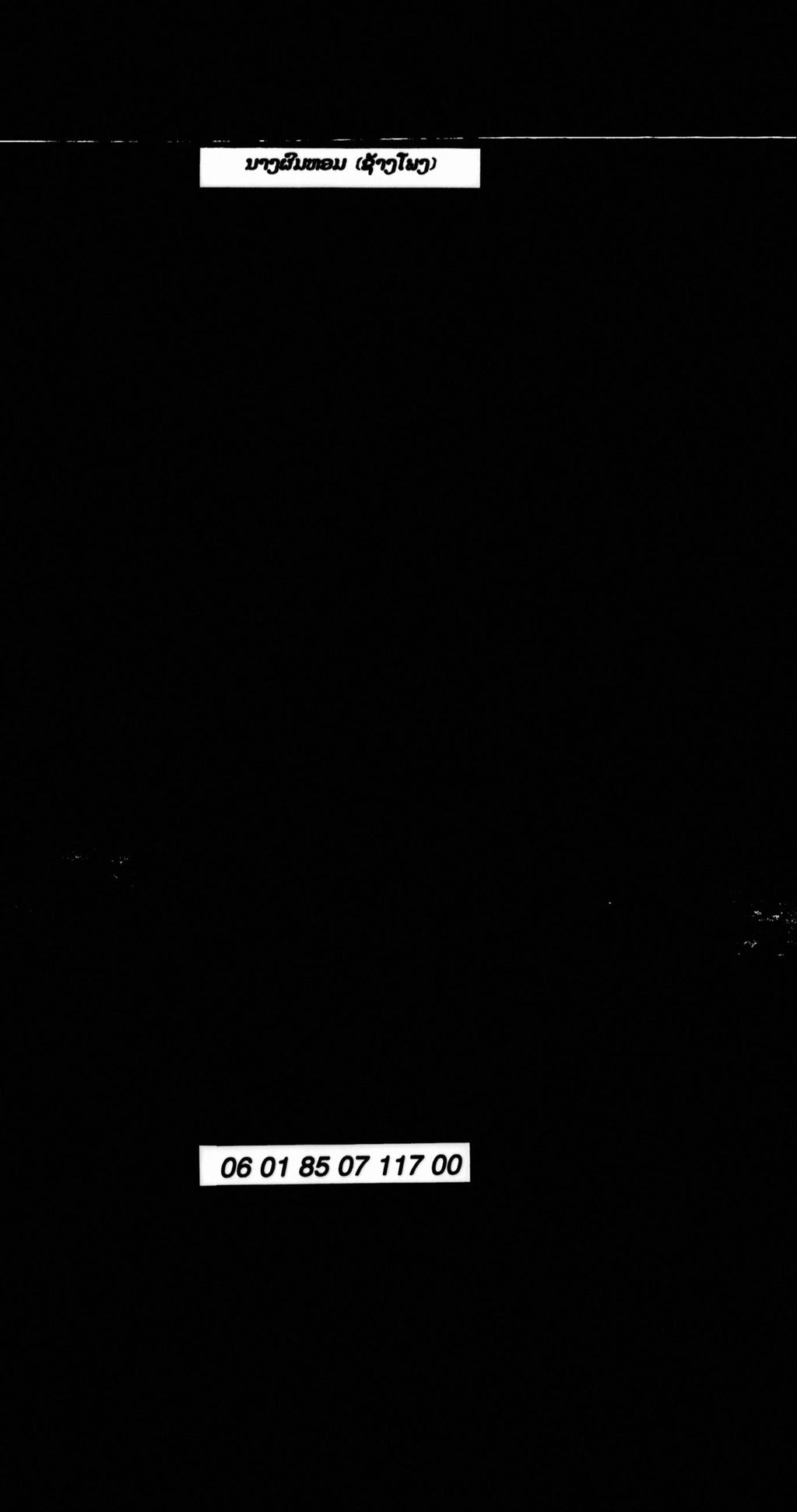 ນາງຜົມຫອມ ( ຊ້າງໂພງ )