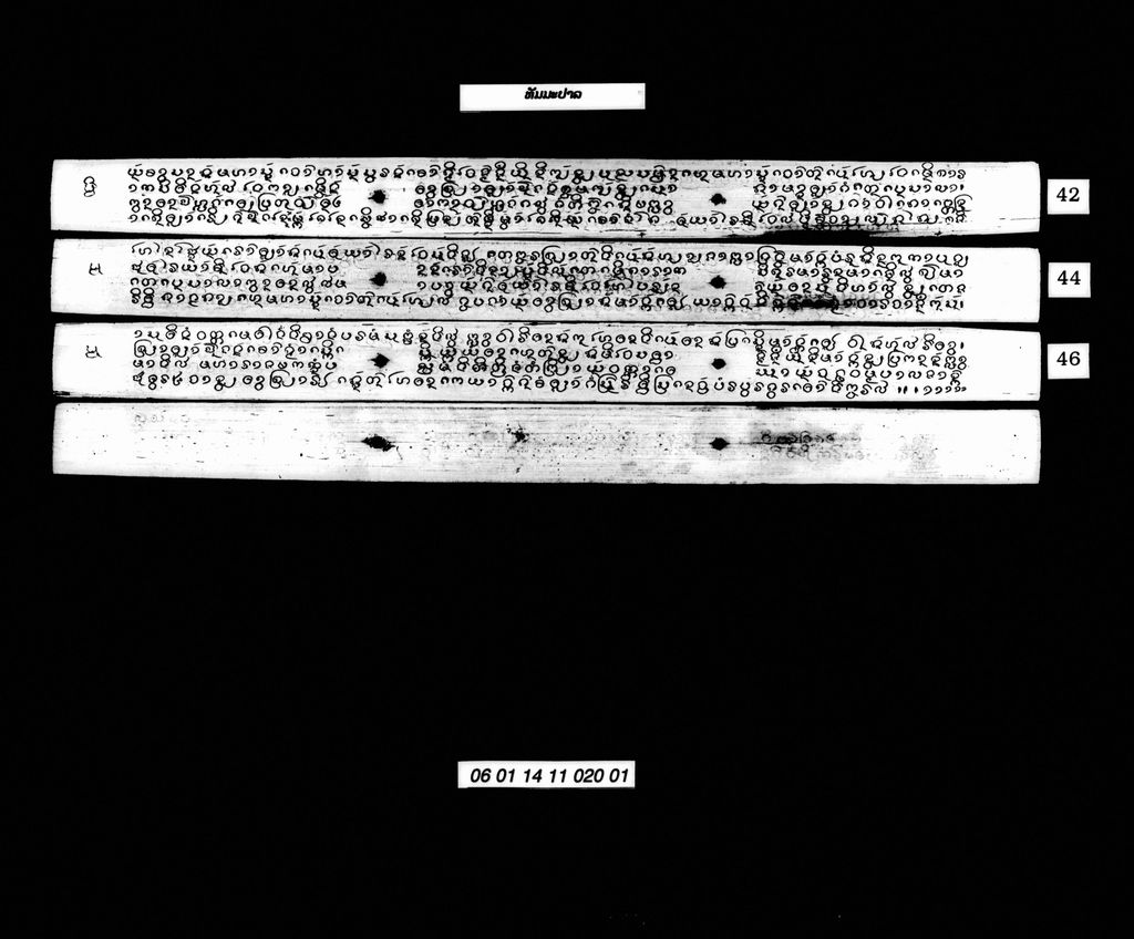 ທັມມະປາລ