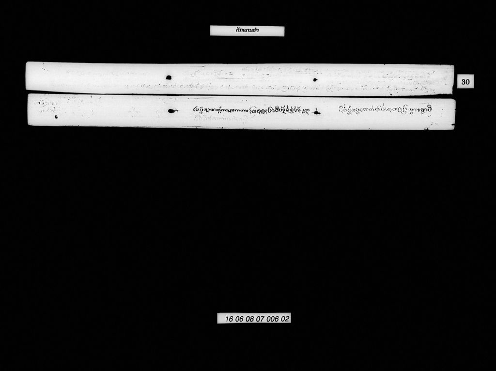 ຕັກແຕນຄຳ