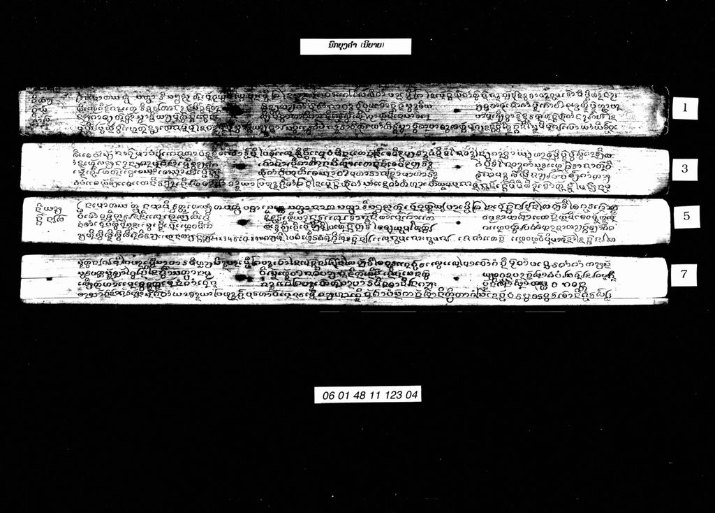 ນົກຍຸງຄຳ (ນິຍາຍ)