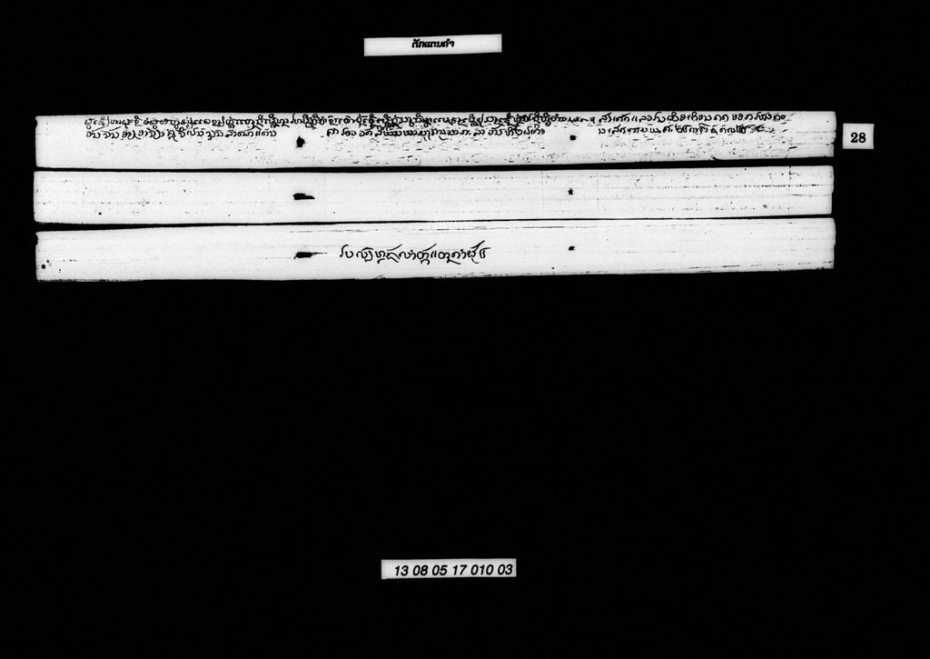 ຕັກແຕນຄຳ