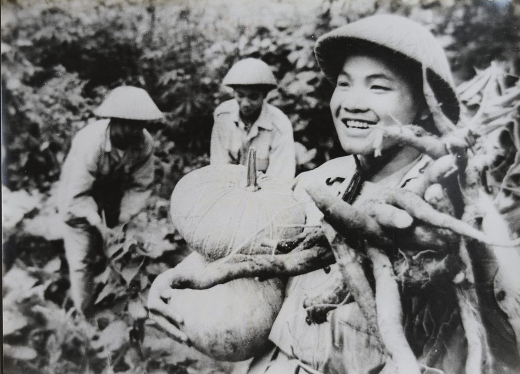 ທະຫານເກັບຜົນລະປູກ