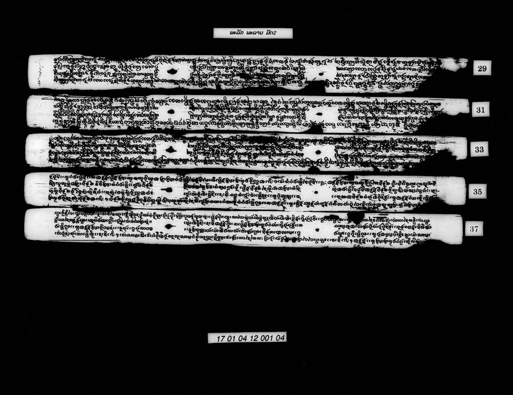 ພະລັກພະລາມ (ມັດ2)