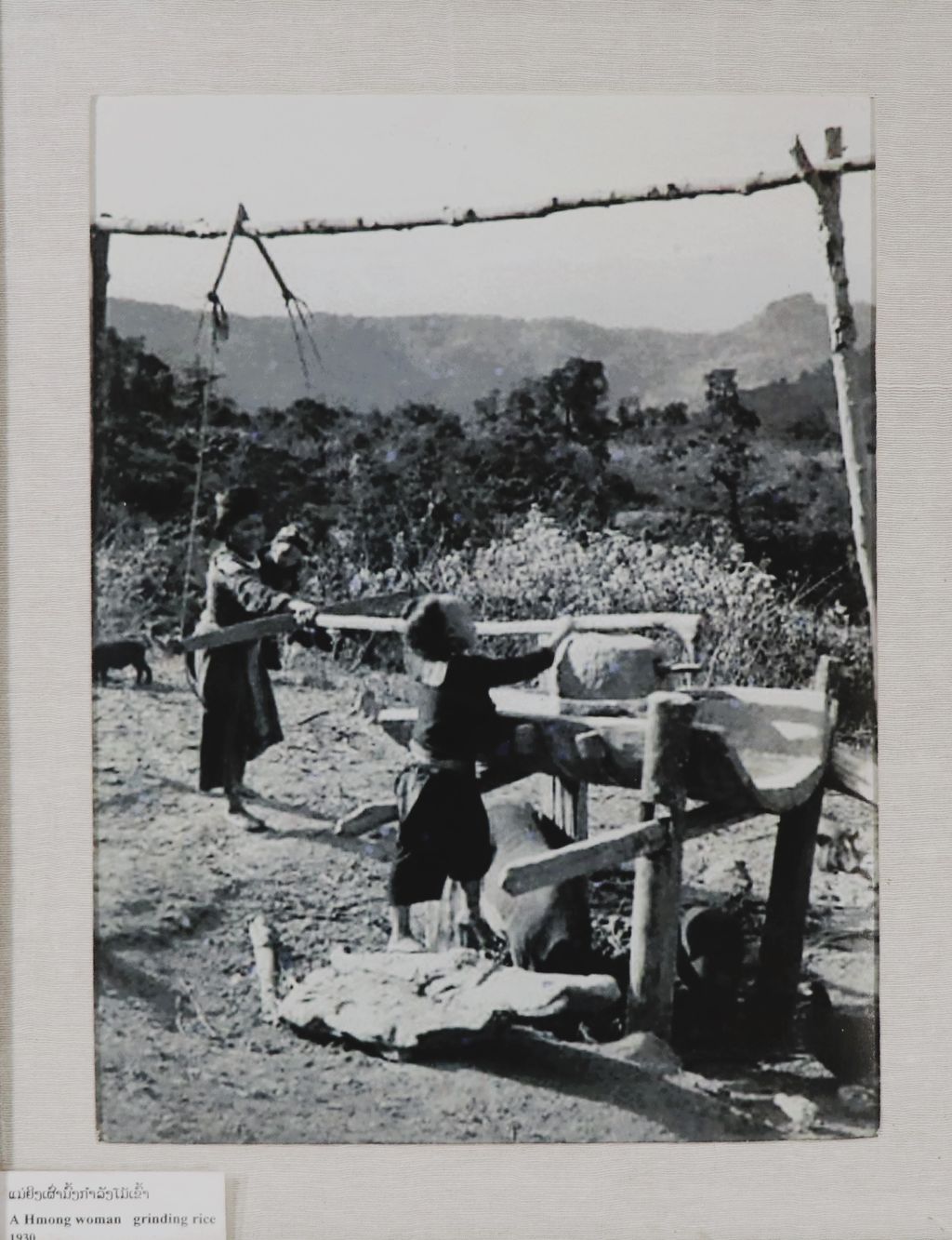 ຮູບ​ພ​າບຂາວດຳ ແມ່ຍິງເຜົ່າມົ້ງກຳລັງໂມ້ເຂົ້າປິ 1930