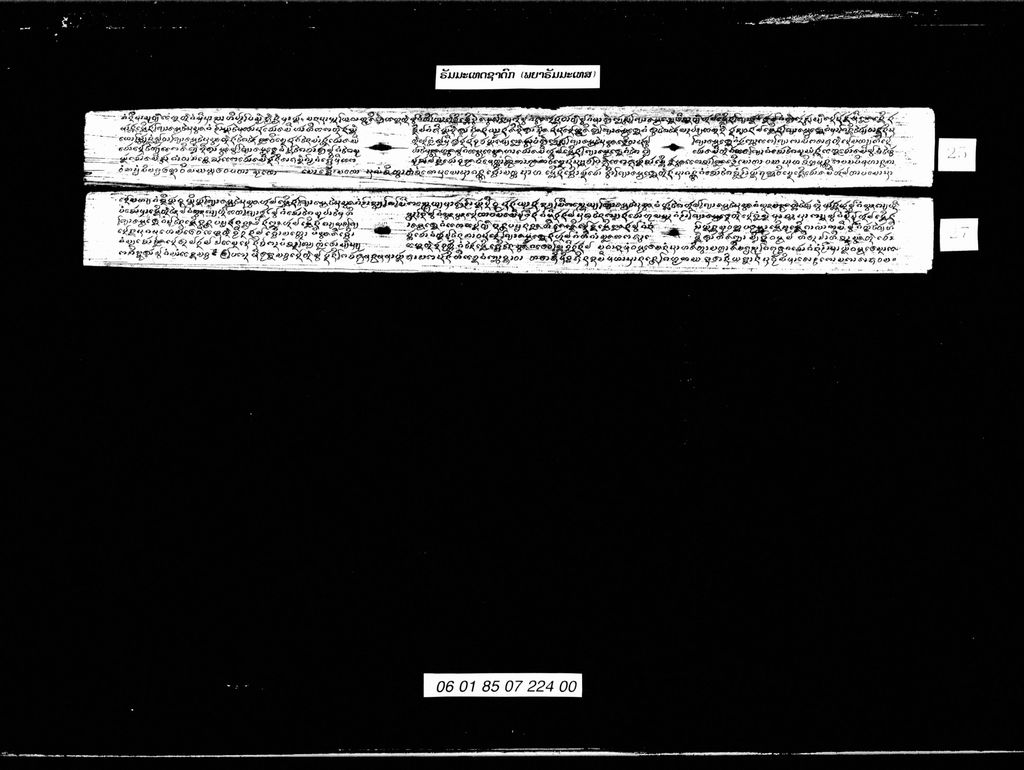 ຣັມມະເທດຊາດົກ ( ພຍາຣັມມະເທດ )