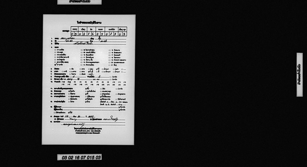 ມ້ານ້ອຍຍ່ຳໃບບົວ