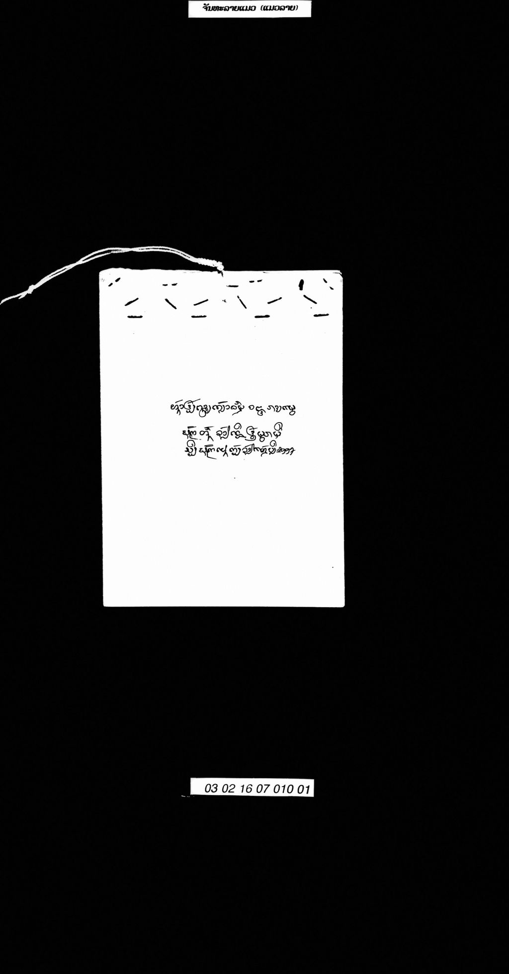 ຈັນທະລາຍແມວ (ແມວລາຍ)