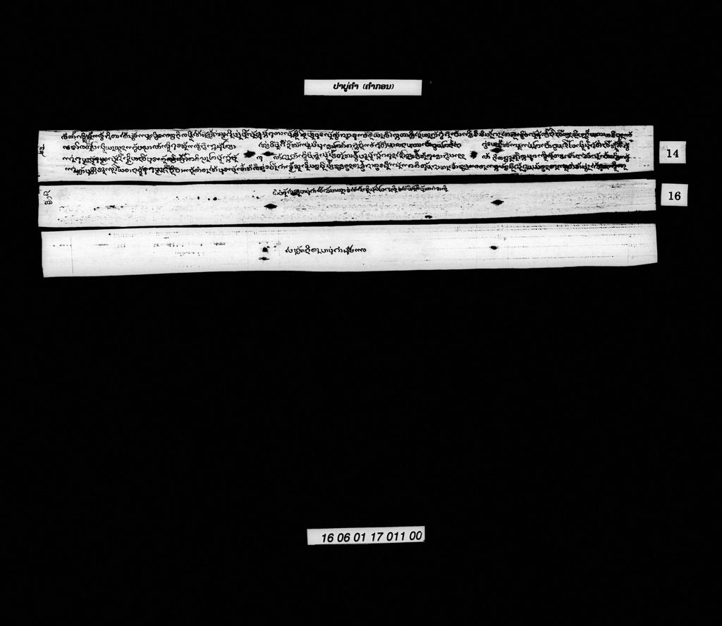 ປາບູ່ຄຳ (ຄຳກອນ)