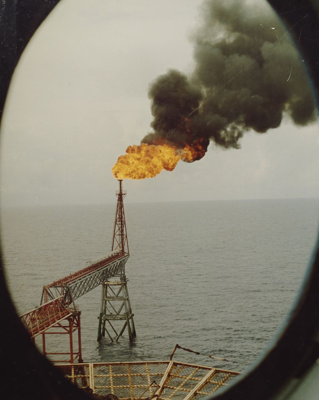 ມັງ​ກອນ​ໄຟ ຫວຽດ​ນາມ (ບໍ່​ນ້ຳ​ມັນ)