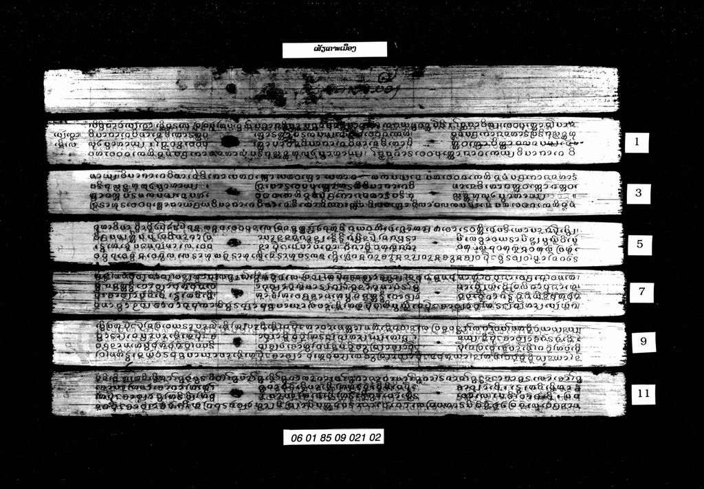 ເສັຽເຄາະເມືອງ